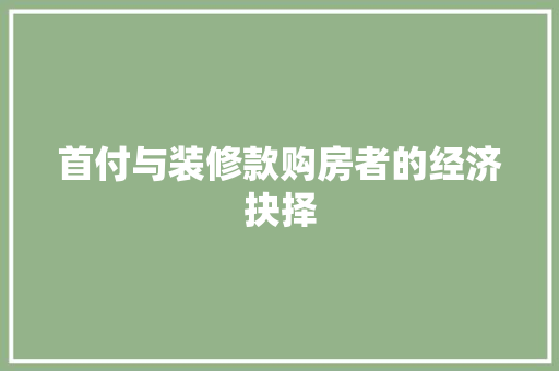 首付与装修款购房者的经济抉择