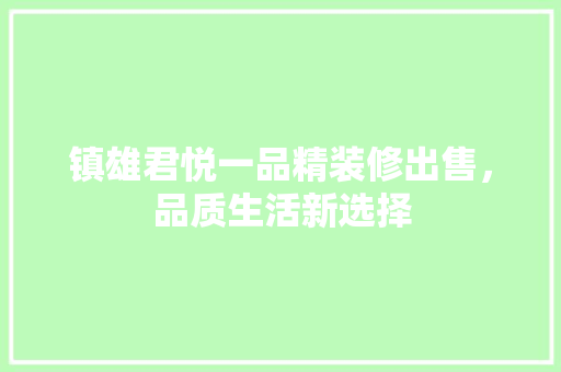 镇雄君悦一品精装修出售，品质生活新选择