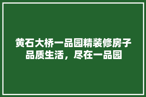 黄石大桥一品园精装修房子品质生活，尽在一品园