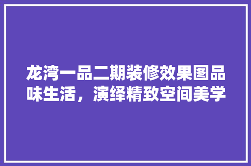 龙湾一品二期装修效果图品味生活，演绎精致空间美学