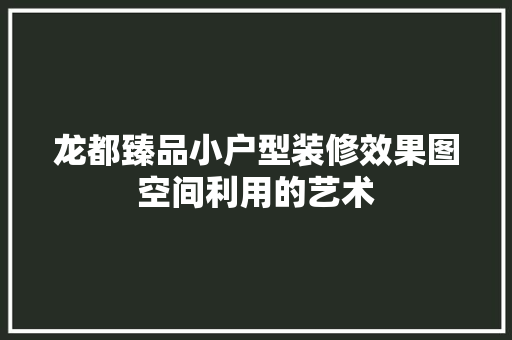 龙都臻品小户型装修效果图空间利用的艺术