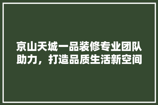 京山天城一品装修专业团队助力，打造品质生活新空间