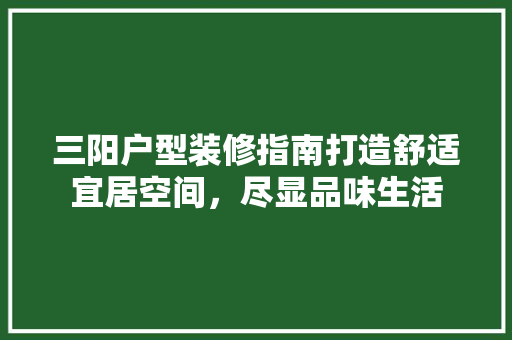 三阳户型装修指南打造舒适宜居空间，尽显品味生活
