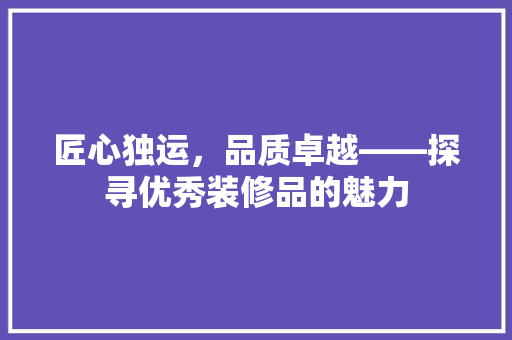 匠心独运，品质卓越——探寻优秀装修品的魅力