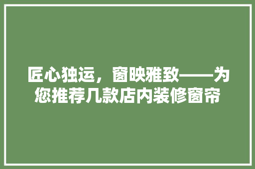 匠心独运，窗映雅致——为您推荐几款店内装修窗帘