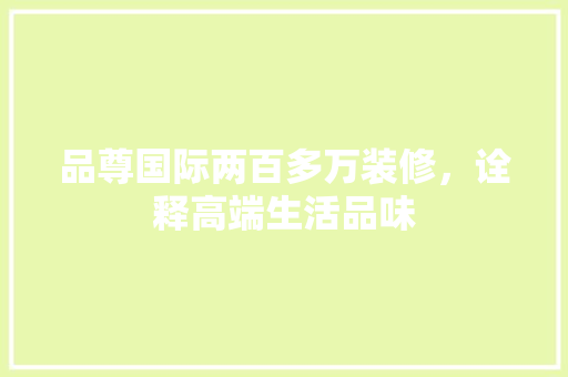 品尊国际两百多万装修，诠释高端生活品味