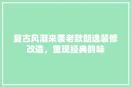 复古风潮来袭老款朗逸装修改造，重现经典韵味