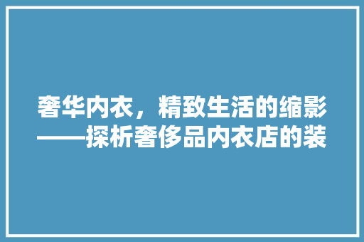 奢华内衣，精致生活的缩影——探析奢侈品内衣店的装修风格