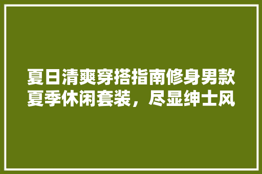 夏日清爽穿搭指南修身男款夏季休闲套装，尽显绅士风范