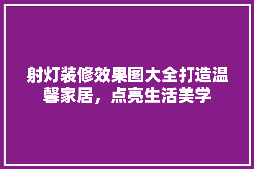 射灯装修效果图大全打造温馨家居，点亮生活美学