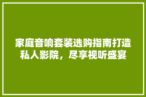 家庭音响套装选购指南打造私人影院，尽享视听盛宴