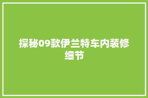 探秘09款伊兰特车内装修细节