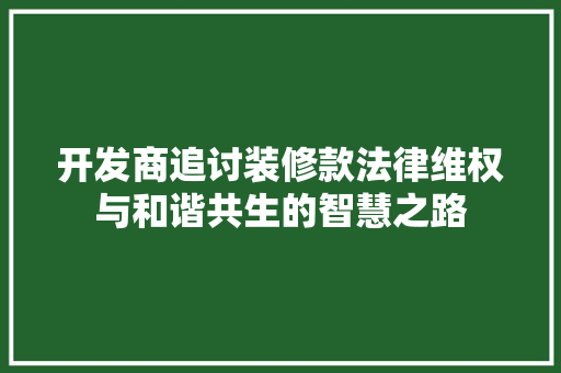 开发商追讨装修款法律维权与和谐共生的智慧之路