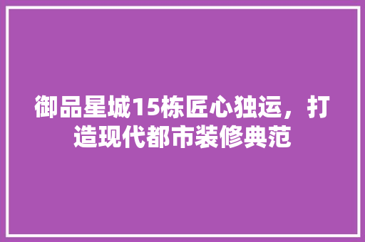 御品星城15栋匠心独运，打造现代都市装修典范