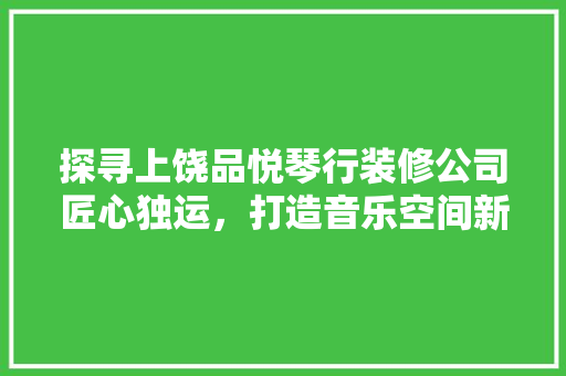 探寻上饶品悦琴行装修公司匠心独运，打造音乐空间新典范