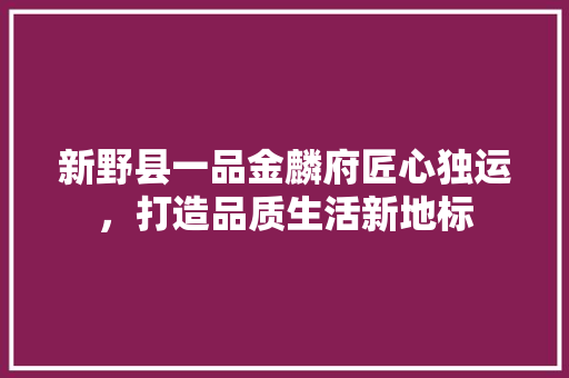 新野县一品金麟府匠心独运，打造品质生活新地标