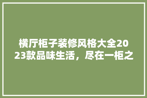 横厅柜子装修风格大全2023款品味生活，尽在一柜之间