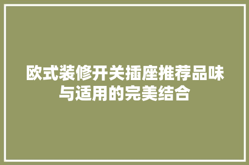 欧式装修开关插座推荐品味与适用的完美结合