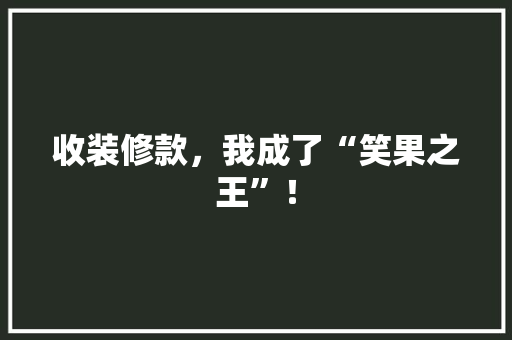 收装修款，我成了“笑果之王”！