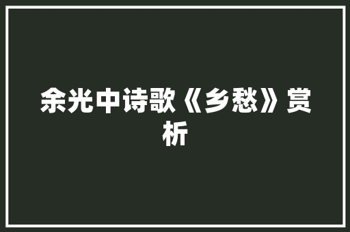 瓷砖一级品，打造家居品质生活的首选