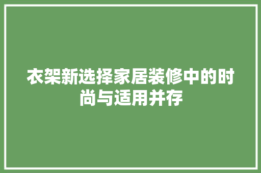 衣架新选择家居装修中的时尚与适用并存