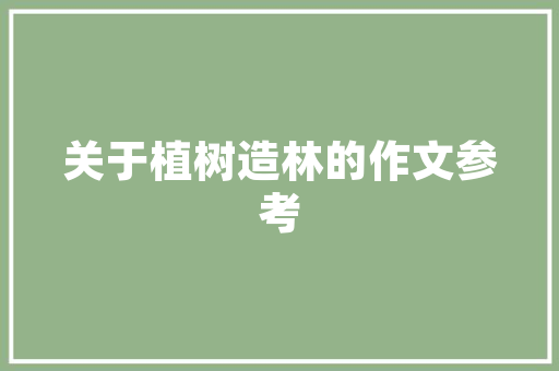 网红爆款装修风格打造时尚与舒适的家居空间