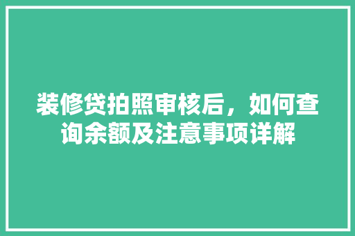装修贷拍照审核后，如何查询余额及注意事项详解