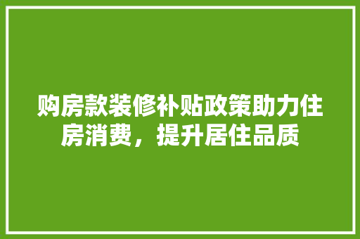 购房款装修补贴政策助力住房消费，提升居住品质