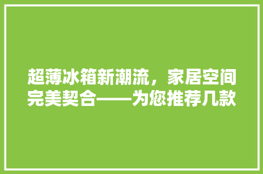 超薄冰箱新潮流，家居空间完美契合——为您推荐几款优质超薄冰箱