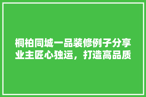 桐柏同城一品装修例子分享业主匠心独运，打造高品质家居空间