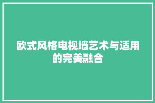 欧式风格电视墙艺术与适用的完美融合