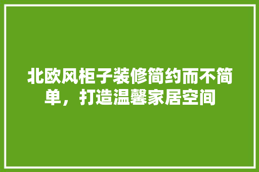北欧风柜子装修简约而不简单，打造温馨家居空间