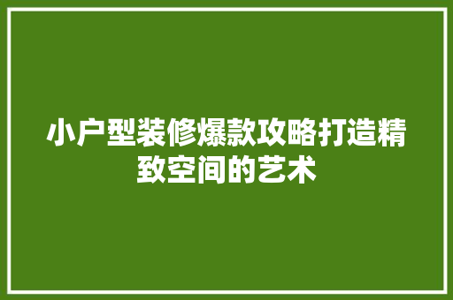 小户型装修爆款攻略打造精致空间的艺术  第1张
