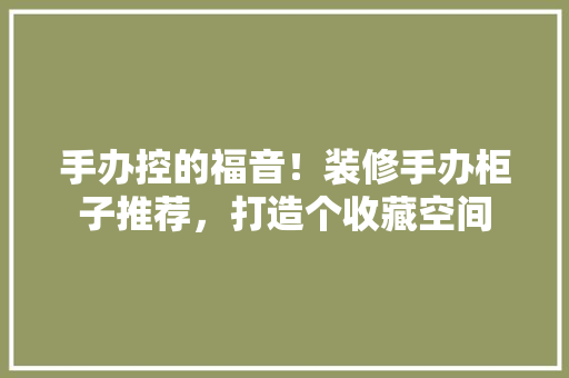 手办控的福音！装修手办柜子推荐，打造个收藏空间