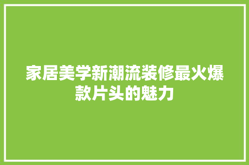 家居美学新潮流装修最火爆款片头的魅力