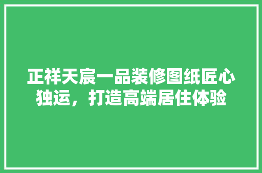 正祥天宸一品装修图纸匠心独运，打造高端居住体验