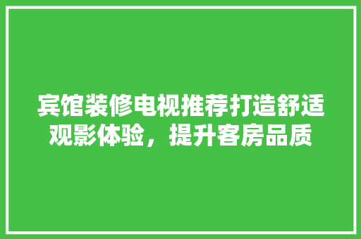 宾馆装修电视推荐打造舒适观影体验，提升客房品质