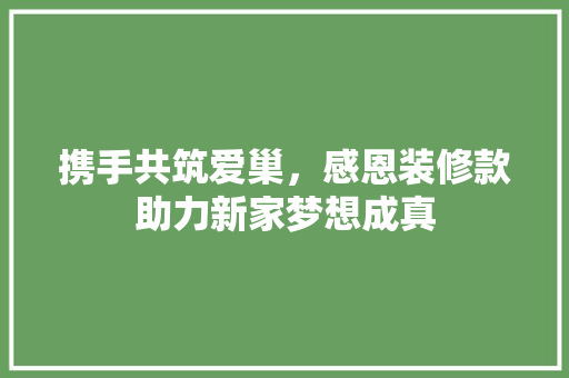 携手共筑爱巢，感恩装修款助力新家梦想成真