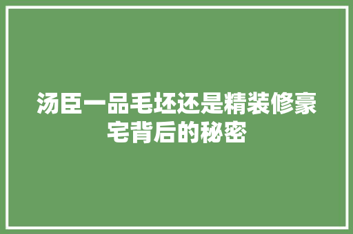 汤臣一品毛坯还是精装修豪宅背后的秘密