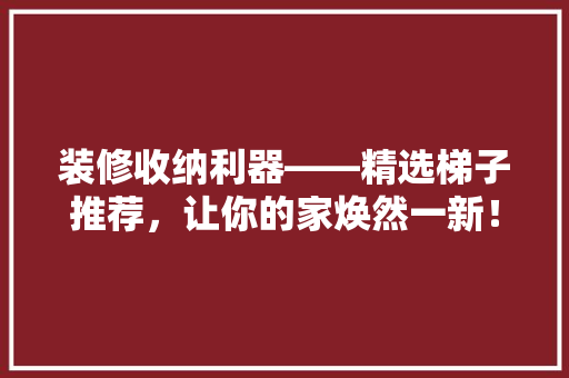 装修收纳利器——精选梯子推荐，让你的家焕然一新！
