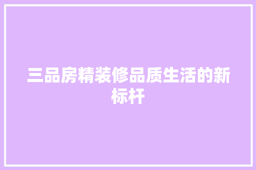 三品房精装修品质生活的新标杆