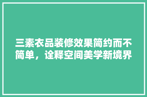 三素衣品装修效果简约而不简单，诠释空间美学新境界