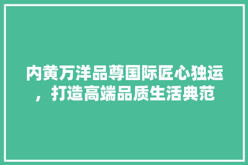 内黄万洋品尊国际匠心独运，打造高端品质生活典范