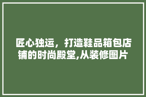 匠心独运，打造鞋品箱包店铺的时尚殿堂,从装修图片看现代零售空间设计