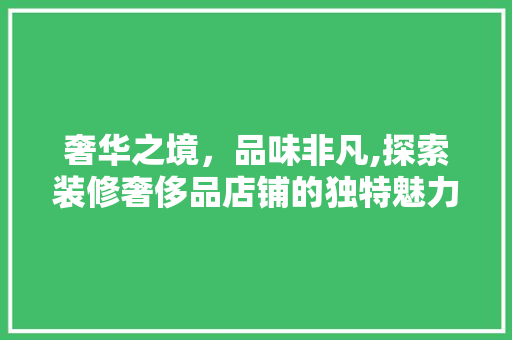 奢华之境，品味非凡,探索装修奢侈品店铺的独特魅力