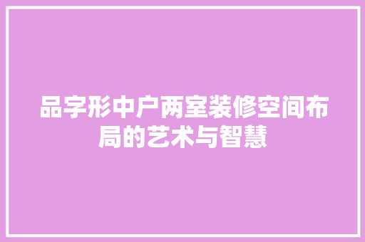 品字形中户两室装修空间布局的艺术与智慧