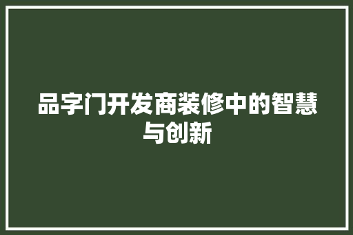品字门开发商装修中的智慧与创新