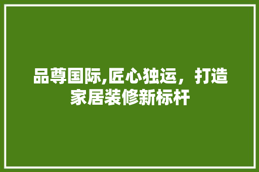品尊国际,匠心独运，打造家居装修新标杆