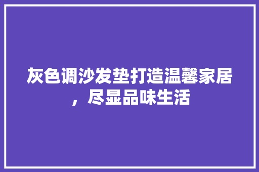 灰色调沙发垫打造温馨家居，尽显品味生活