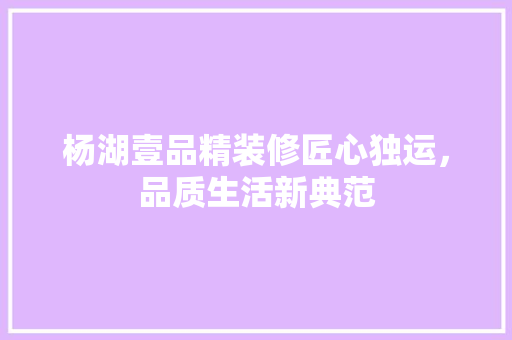 杨湖壹品精装修匠心独运，品质生活新典范